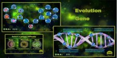 微生物进化类游戏-和微生物模拟器一样的游戏