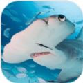 锤头鲨模拟器游戏下载-锤头鲨模拟器手游安卓版下载