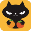 橙柿猫app下载-橙柿猫最新版免费下载v1.0.0