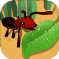 蚂蚁进化3D大树迷宫手游下载-蚂蚁进化3D大树迷宫安卓版最新下载