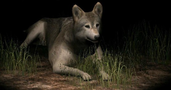 野狼模拟器2收服狼方法介绍