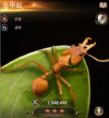 《小小蚁国》特化蚁的属性介绍