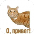 俄语助手在线词典软件