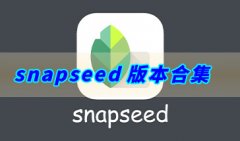 snapseed版本合集-snapseed修图软件版本集合下载-snapseed修图软件下载大全
    